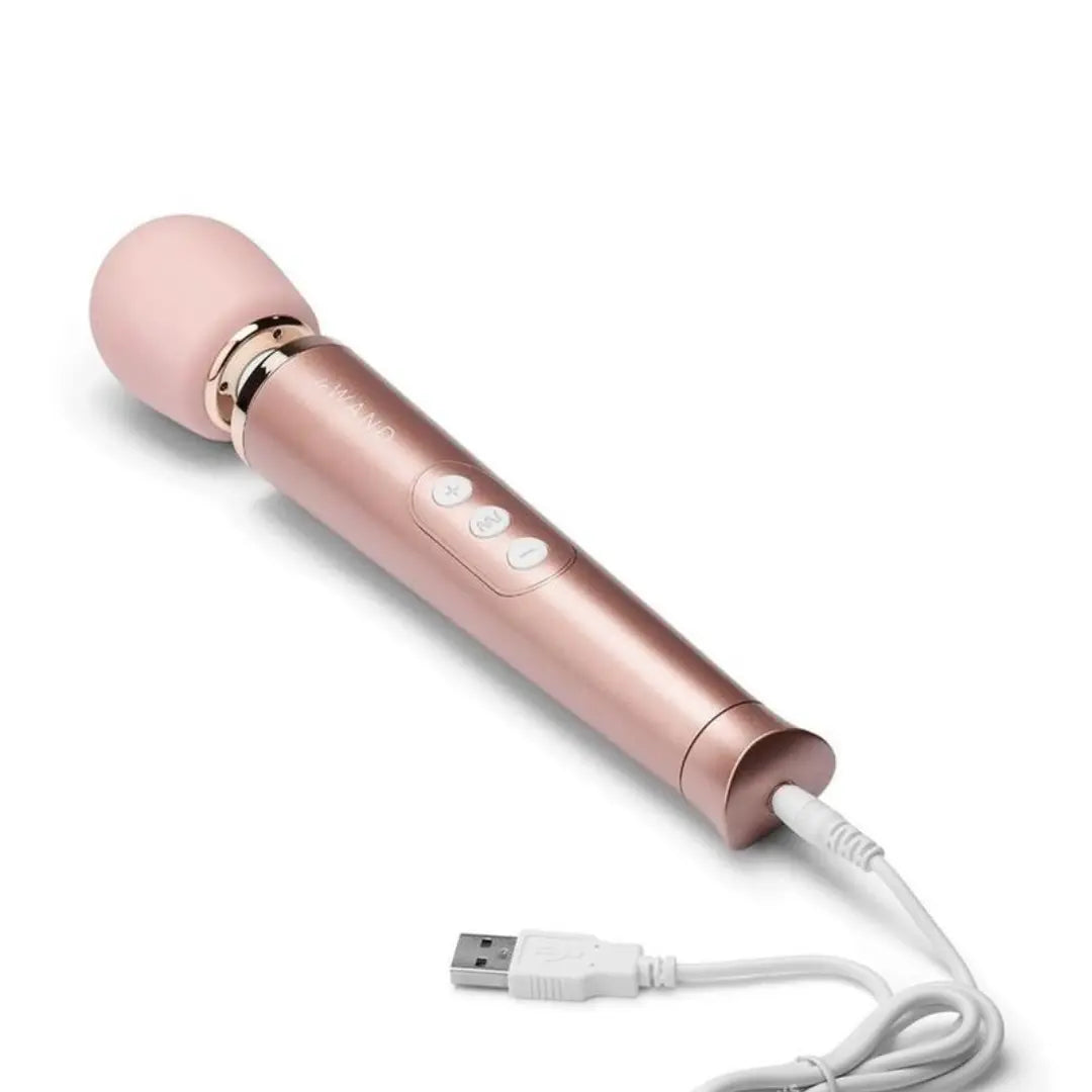 Le Wand Petite Rechargeable Massager - Field Day Boutique
