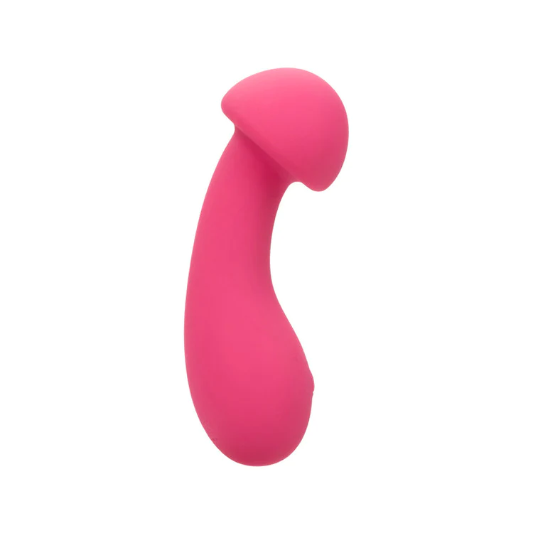 Pixies Exciter Vibrator