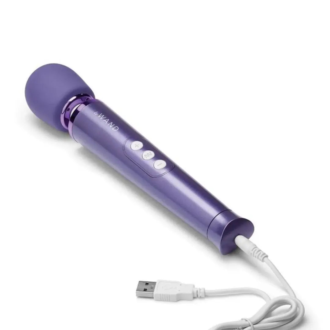 Le Wand Petite Rechargeable Massager - Field Day Boutique