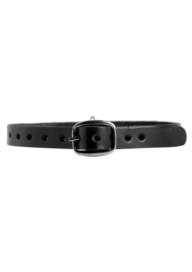 Strict Leather Collar with O-Ring Field Day Boutique