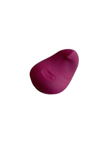 Dame Pom Flexible Vibrator